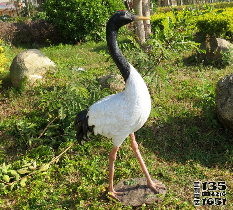 戶(hù)外玻璃鋼彩繪仿真動(dòng)物公園景觀仙鶴雕塑